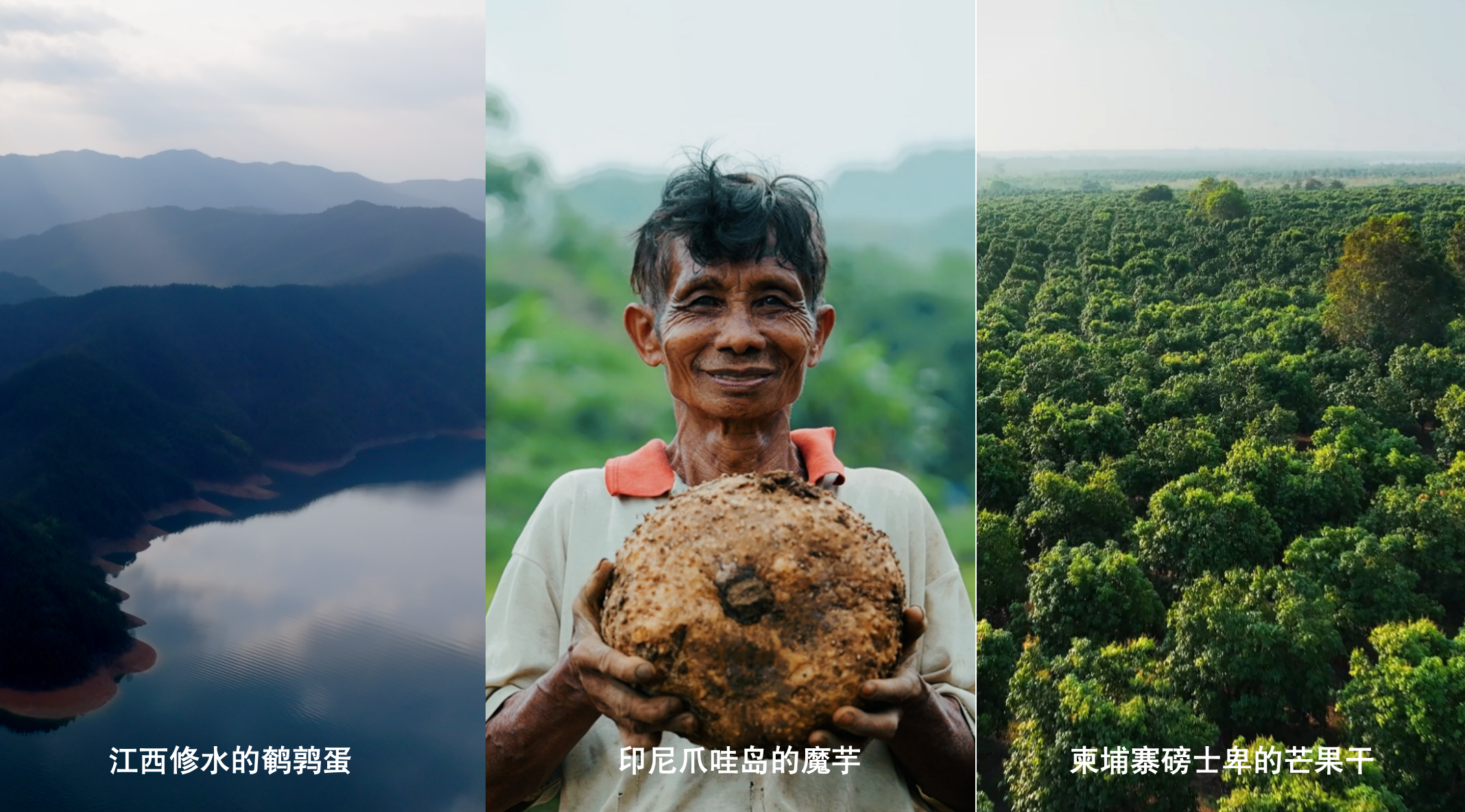 新春家書|根深則葉茂,心定則路遠 新春家書|根深則葉茂,心定則路遠